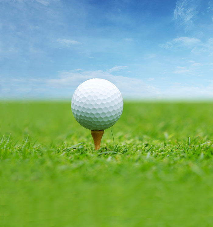 Halifax Plantation Golf Club Attractions, Florida Halifax Plantation Golf Club Attractions, Florida